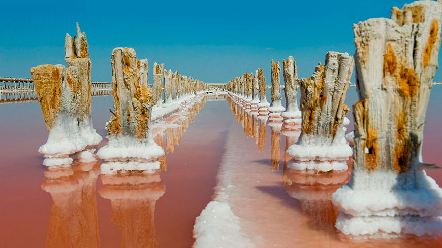 Розовое озеро в Крыму в Евпатории фото