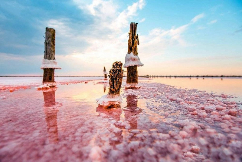 Розовое озеро в Евпатории в Крыму