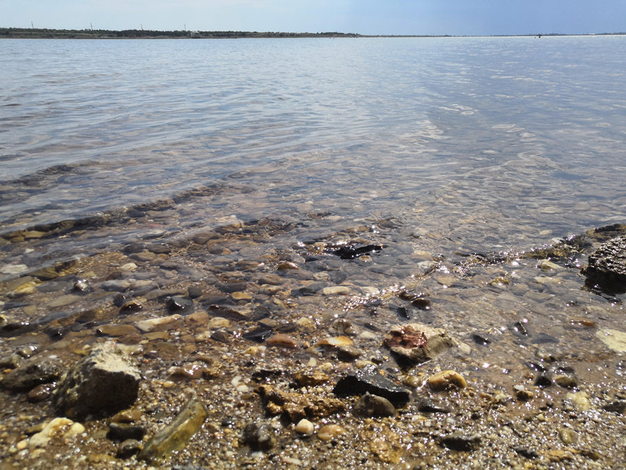 Саки соленое грязевое озеро: фото, где находится, как добраться – Корал
